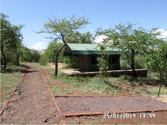 Heaven Nature Camp & Lodge