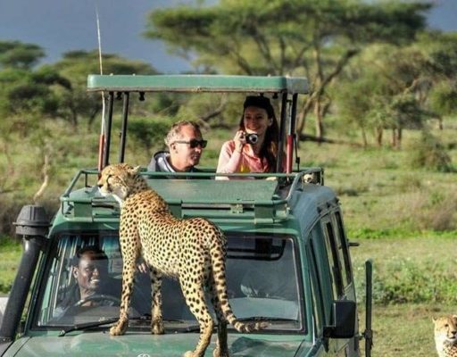   Kenya Safaris