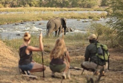 5 Days Tanzania private safari