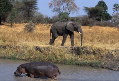 Katavi National park